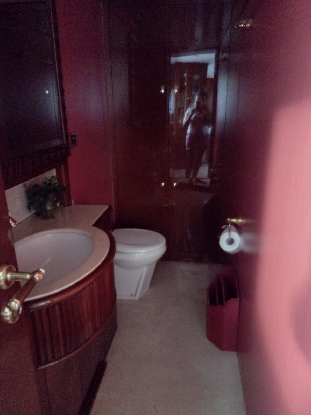 Renta de Yates en Cancún Sin Licencia - Alimut - Jumbo